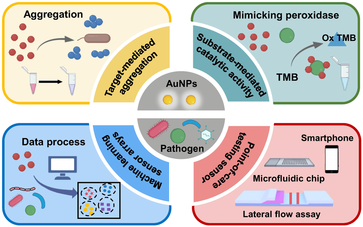 Biosensors_MDPI's tweet photo. #Review
Recent Advances in Colorimetric Sensors Based on Gold Nanoparticles for Pathogen Detection by Jianyu Yang, et al.
https://t.co/6J4ryyGKbU
@MDPIOpenAccess @ChemMatSci_MDPI @Northeastern
#goldnanoparticles #colorimetricsensor #pointofcaretest #openaccess https://t.co/pHYb24jlSv