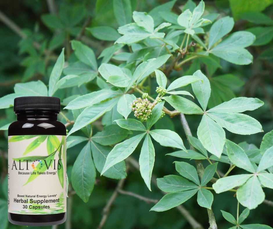 ViandaLife's tweet photo. #adaptogens #buywomenowned #eleuthero #Enzyte #EnzyteMRC #Enzyte3 #healthylifestyle #Holistichealth #LearnVianda #menshealth #selfcare #Sexualhealth #siberianginseng #Viandalife #wbenc #wellnessthatworks #womeninbusiness #womenownedbusiness #womenshealth https://t.co/rYCgEA3SXj