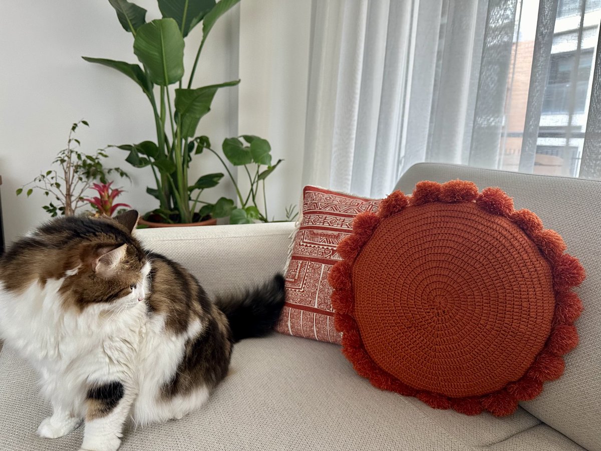 Annimin yeni boşanmış bir müvekkili geçinebilmek için kırlent örüyor, biz turuncusunu aldık çok beğendik, yeşilini örüyor bizim için 🥰 almak isteyenler için iletişim dm