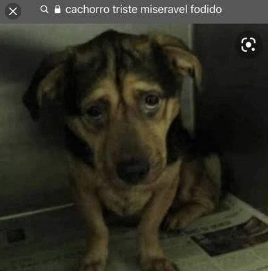 nanda_std's tweet image. a humilhação que é ficar 30 minutos fazendo uma questão no estuda.com,  errar   e o primeiro comentario ser tipo "nossa questão mais facil do mundo" "questão feita pra ninguem errar"