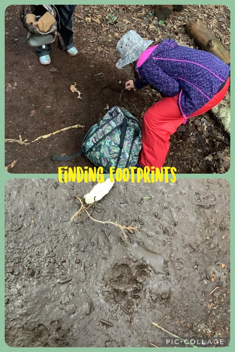 3S loved making rainbow toast. They painted bread with coloured milk then toasted it over the fire. They also helped their friends on the slack line and climbing trees. The explorers in the group found footprints in the mud! <a href="/TalbotHeathSch/">Talbot Heath School</a> <a href="/THSch_Junior/">TH Junior School</a>