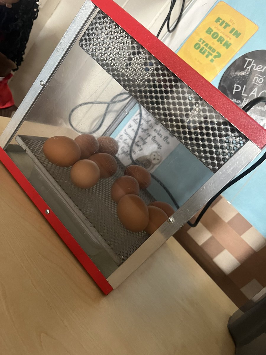Today we had a very special delivery from @livingeggsnw we cannot wait to see our eggs hatch! #EarlyYears 🐣