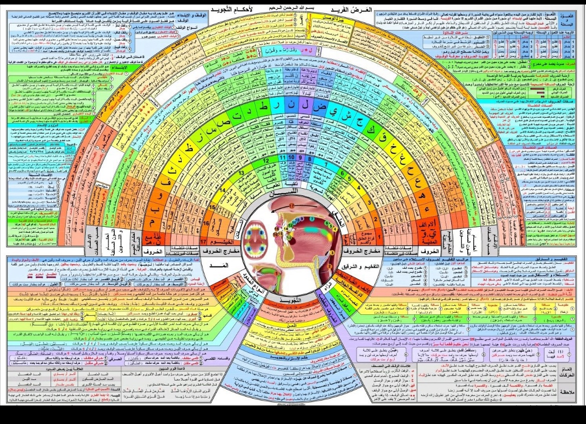 UserSalafya's tweet image. «  je récite bien j’ai rien à corriger » Les règles de tawjeed :