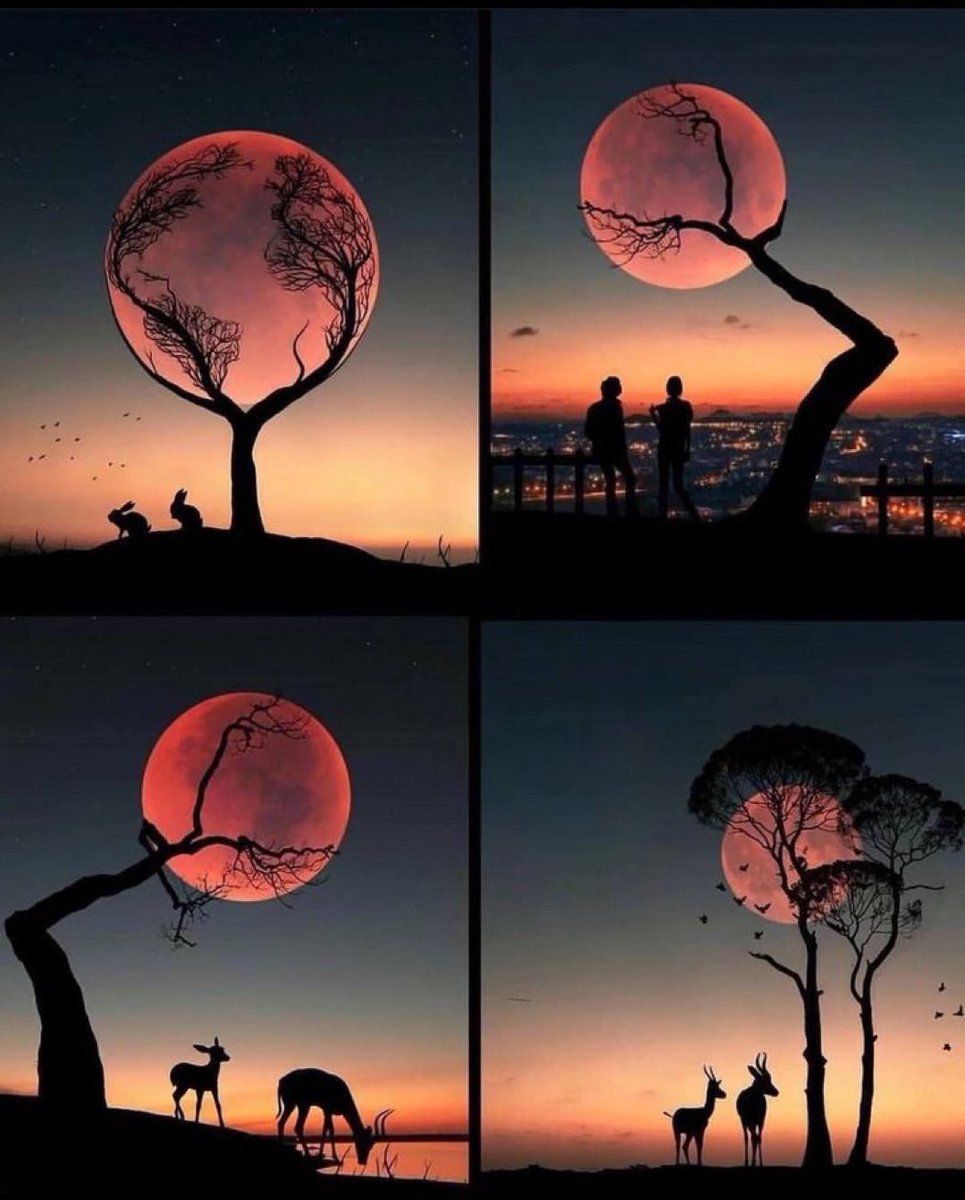 Moon lover.