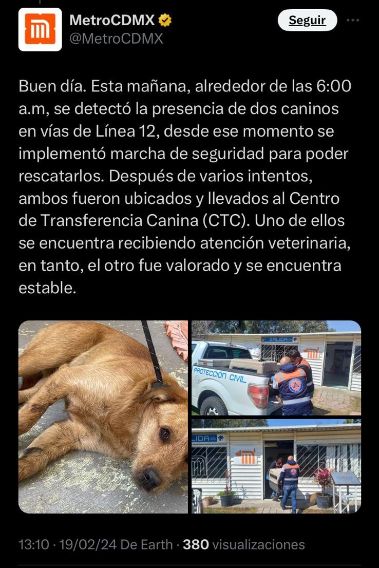 FundacionToby's tweet photo. Es que según ya habían resuelto, que el metro ya lo tenía y fue mentira.

Vamos para allá a buscarlo https://t.co/6RDAfSobej