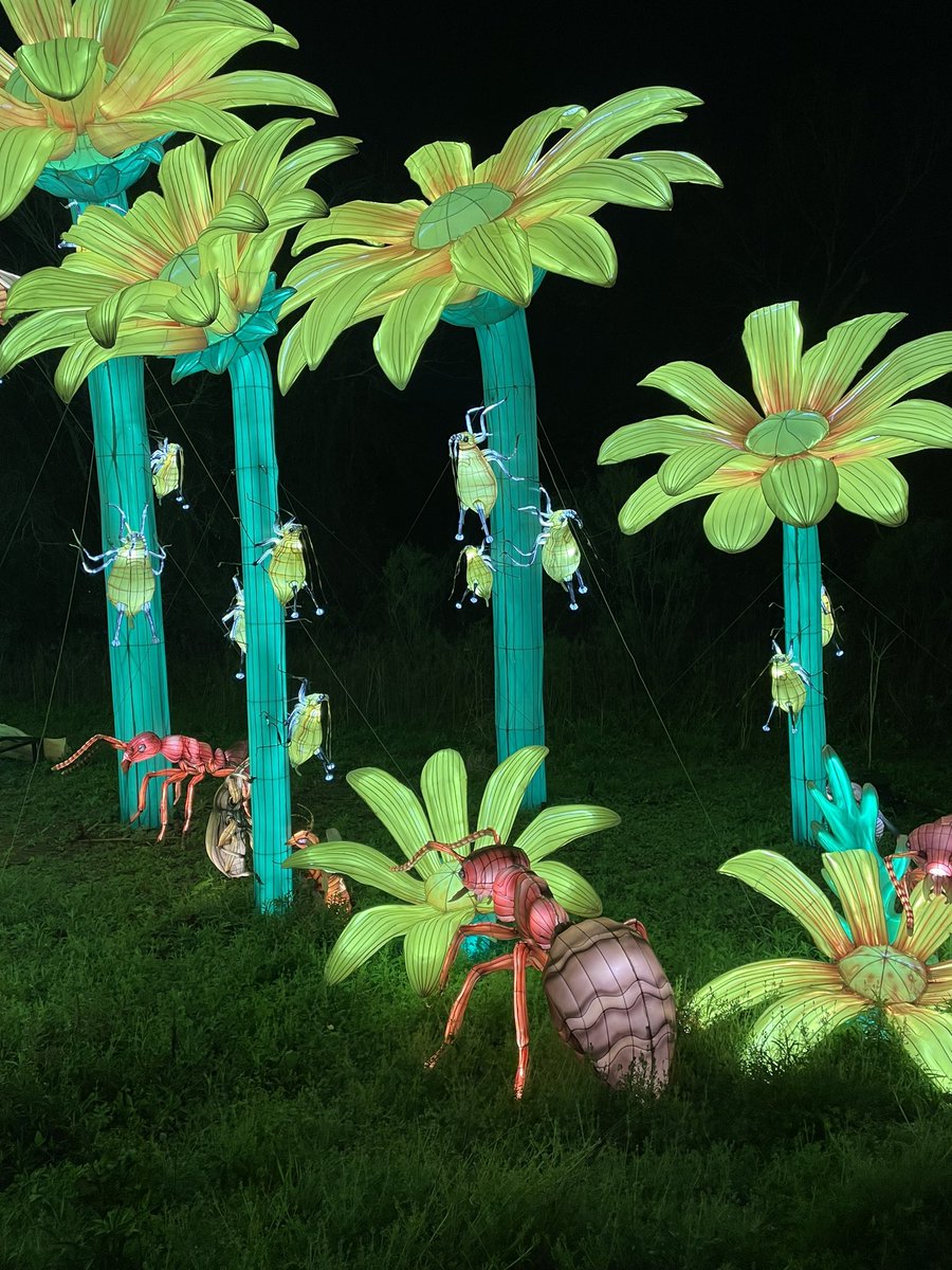 KBYip's tweet photo. I really love that the display critters weren’t just the cute 🐞🐝 or beautiful 🦋 but also ants, aphids, mantis, and huge spiders
#RadiantNature @houstonbotanic https://t.co/EYqroByS65