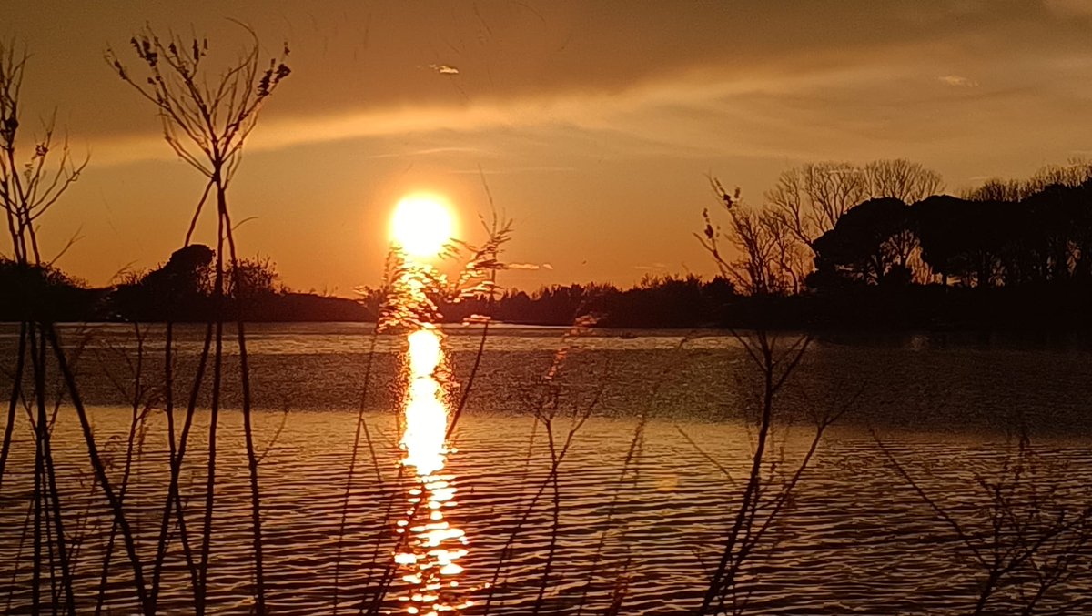 .<a href="/shockingnature/">🐶Nature is beautiful🐥</a> -

#isola di #GRADO #island -

Spettacolare #tramonto in #laguna - foto Boemo -

<a href="/mariacr28250504/">maria cristina lazzi</a> <a href="/giorgiobigi1/">giorgio bigi</a> <a href="/marina52182/">Marina 🌹🐞🦉</a> <a href="/azzur_farfalla/">Azzurra Farfalla</a> <a href="/CMarc17/">Claudio Marchesan</a> <a href="/AugustSummer821/">August Summer</a> <a href="/srmcarla/">Francesca Bertaina</a> <a href="/SuttoraM/">suttora marina</a> <a href="/SaraSanson67/">Sara Sanson</a> <a href="/CiriSince1978/">Giuseppe</a>  @FVGlive <a href="/ItalyInTheHeart/">Italy In The Heart</a> <a href="/ItalyMagazine/">Italy Magazine</a>