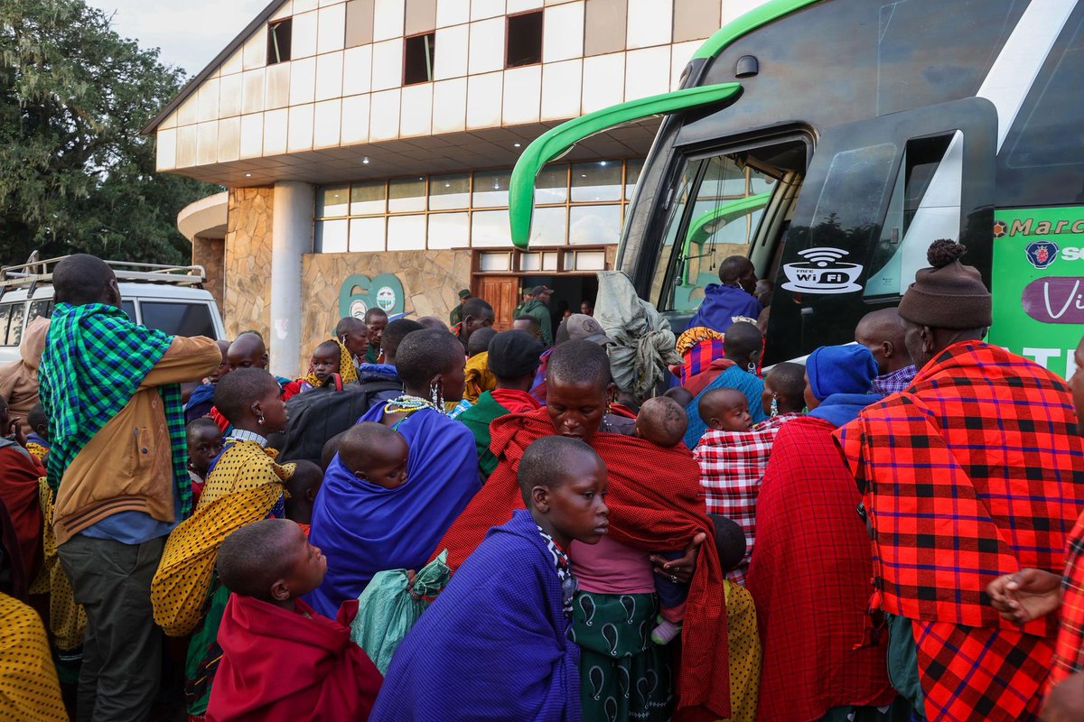 BawaAfrika's tweet photo. The enthusiasm of citizens who register to move voluntarily from the #Ngorongoro has increased where today on Feb 19, 2024 a total of 82 households with 541 people and 3,379 livestock have moved from Ngorongoro to #Msomera Village in Handeni Tanga. #ALT @UNESCO @AngellahKairuki https://t.co/wHchAqkiTn