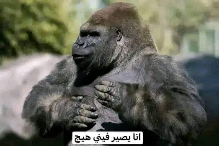 لما اروح واقعد افتكر اللي حصلي ف الشغل