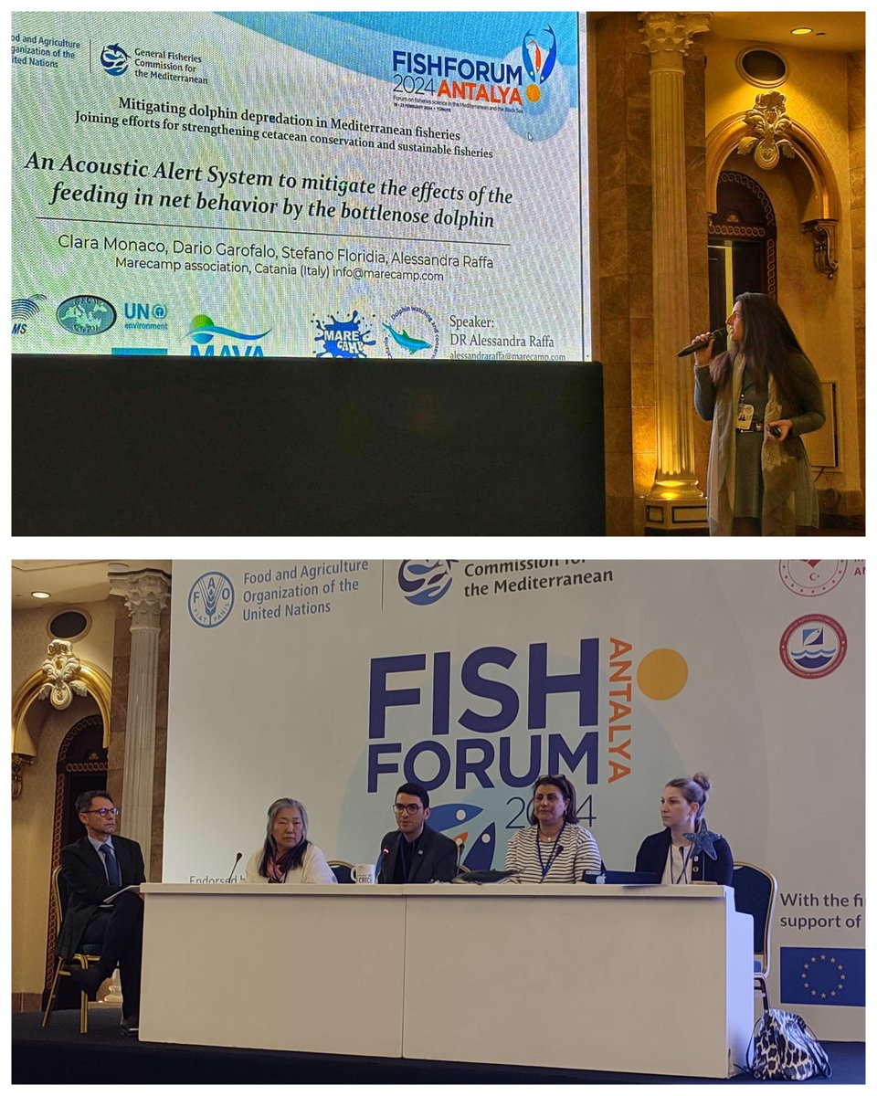 Day of collaboration &amp; scientific sharing! At #FishForum2024 in Antalya, Marecamp shown "Depredation 2: an Acoustic Alert System" results, within the workshop "Mitigating multi-taxa fisheries interactions in the Mediterranean" organized by <a href="/ACCOBAMS/">ACCOBAMS</a>, <a href="/UN_FAO_GFCM/">General Fisheries Commission for the Mediterranean</a> and <a href="/SPARACinfos/">SPA/RAC</a>