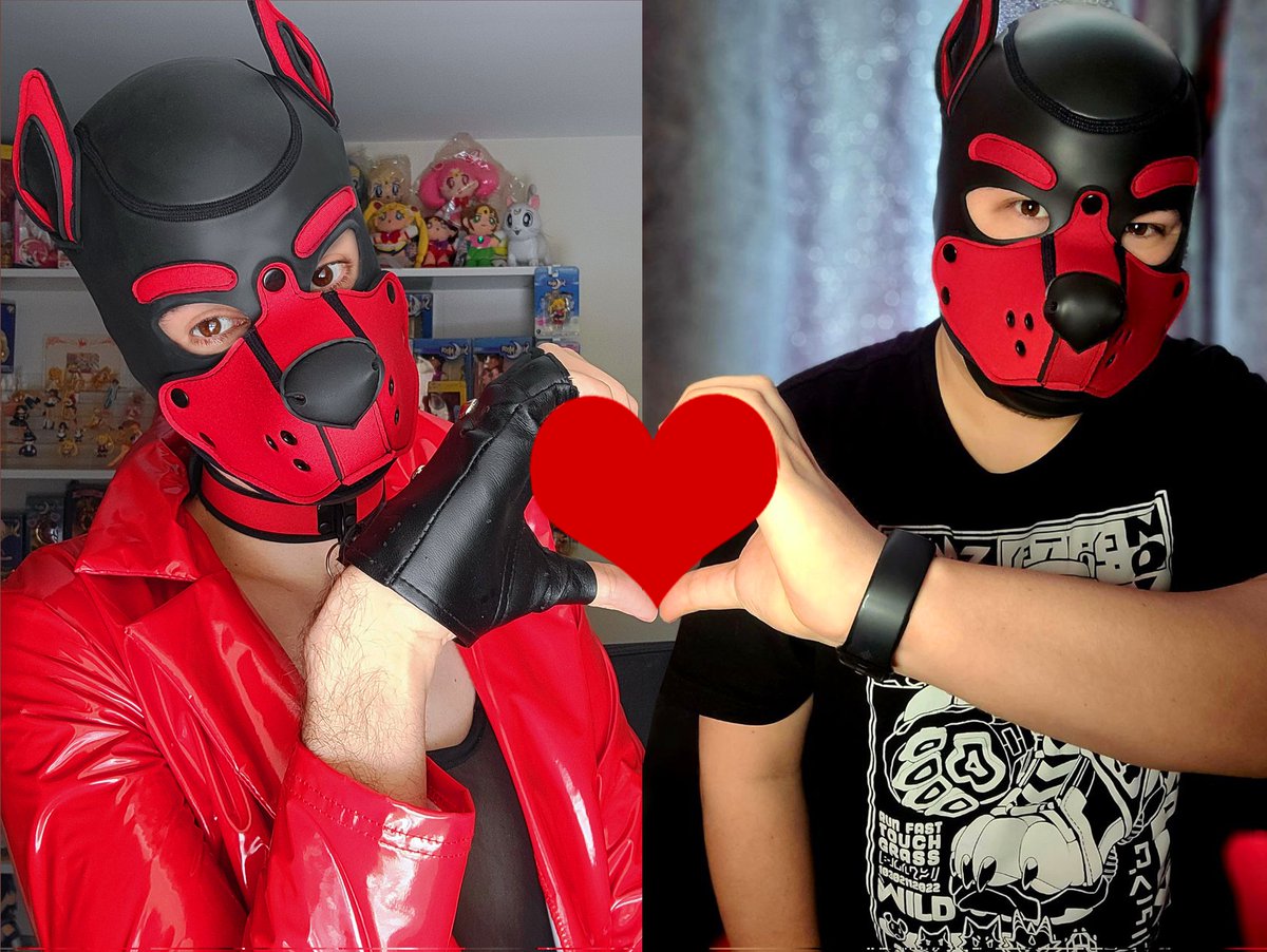 PupLuxuris's tweet photo. When there is a will, there is a way to take cute pictures with your friends who live far away. 🥰❤️ love you @Pup_Mahi 🐾❤️

#pup #puplay #puppyplay #humanpup #gaypup https://t.co/PKeM9gQJXL