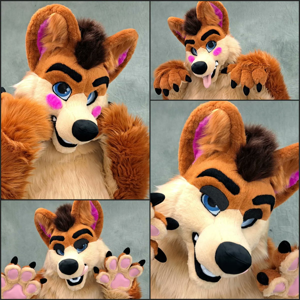 TheKareliaFursuits tweet media