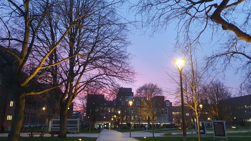 Robin Diver tweet media