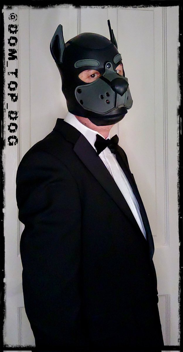 AlphaPupScar's tweet photo. My name is Scar...
Pup..Scar.........
Licensed to thrill

Something a little different this evening to celebrate 400 followers 😈

Sub pup needed to worship this suited and booted Dom 

#GOM #Gayfetish #Suitfetish #gayfetish #puppyplay #bdsm #masterslave #alphadom #Alphapup https://t.co/O28dTNKAG1