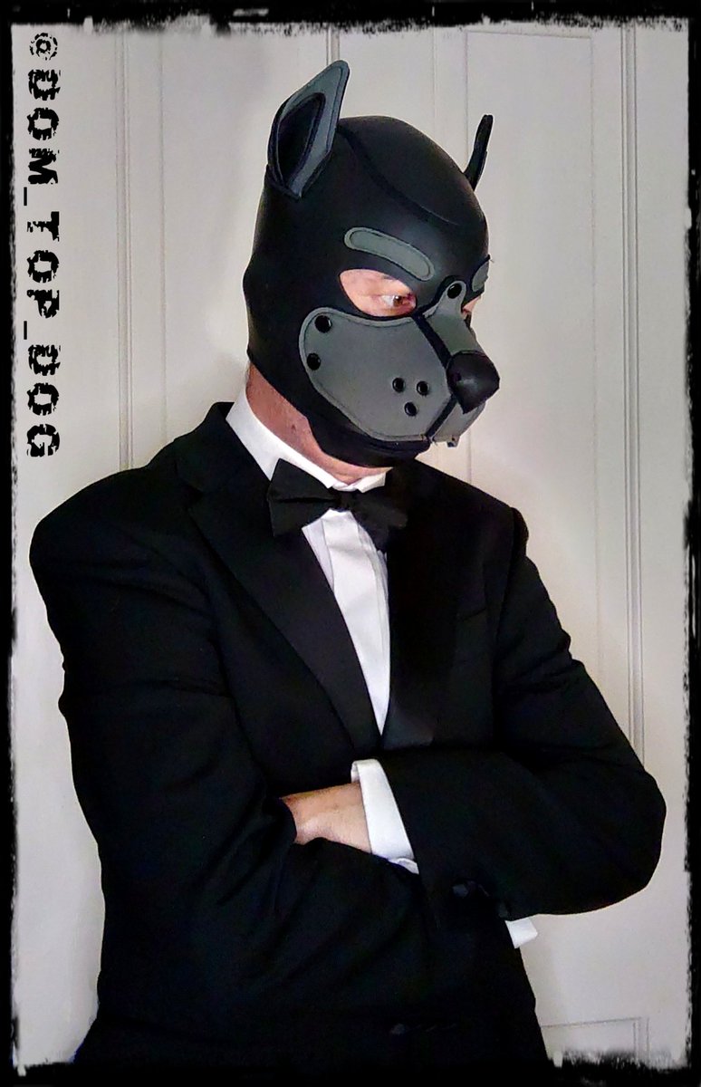 AlphaPupScar's tweet photo. My name is Scar...
Pup..Scar.........
Licensed to thrill

Something a little different this evening to celebrate 400 followers 😈

Sub pup needed to worship this suited and booted Dom 

#GOM #Gayfetish #Suitfetish #gayfetish #puppyplay #bdsm #masterslave #alphadom #Alphapup https://t.co/O28dTNKAG1