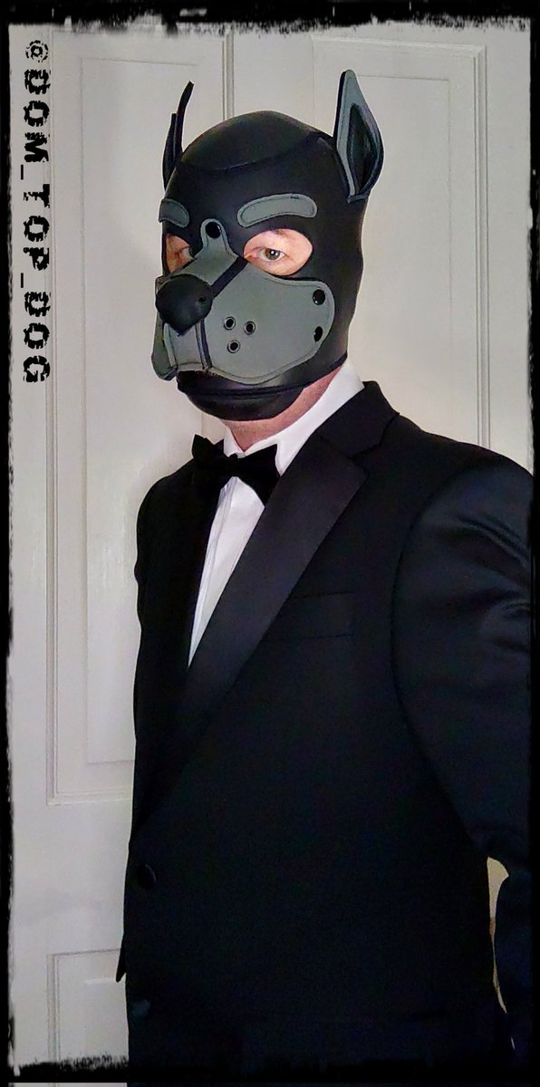 AlphaPupScar's tweet photo. My name is Scar...
Pup..Scar.........
Licensed to thrill

Something a little different this evening to celebrate 400 followers 😈

Sub pup needed to worship this suited and booted Dom 

#GOM #Gayfetish #Suitfetish #gayfetish #puppyplay #bdsm #masterslave #alphadom #Alphapup https://t.co/O28dTNKAG1