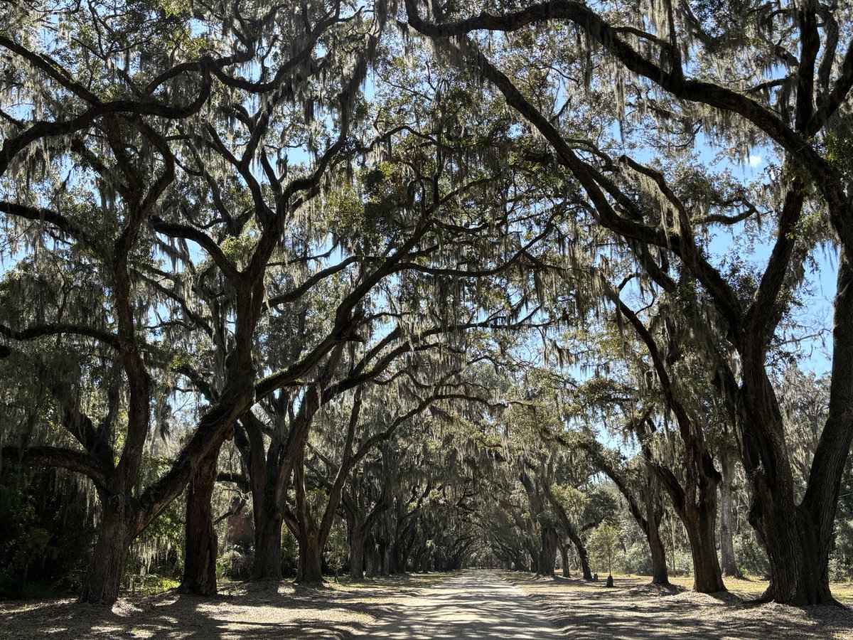 bodnerK2's tweet photo. Love hiking our state parks! Checked off Skidaway & Wormsloe Historic Site. @GaStateParks #hikeGA https://t.co/UdTXFPfbLf