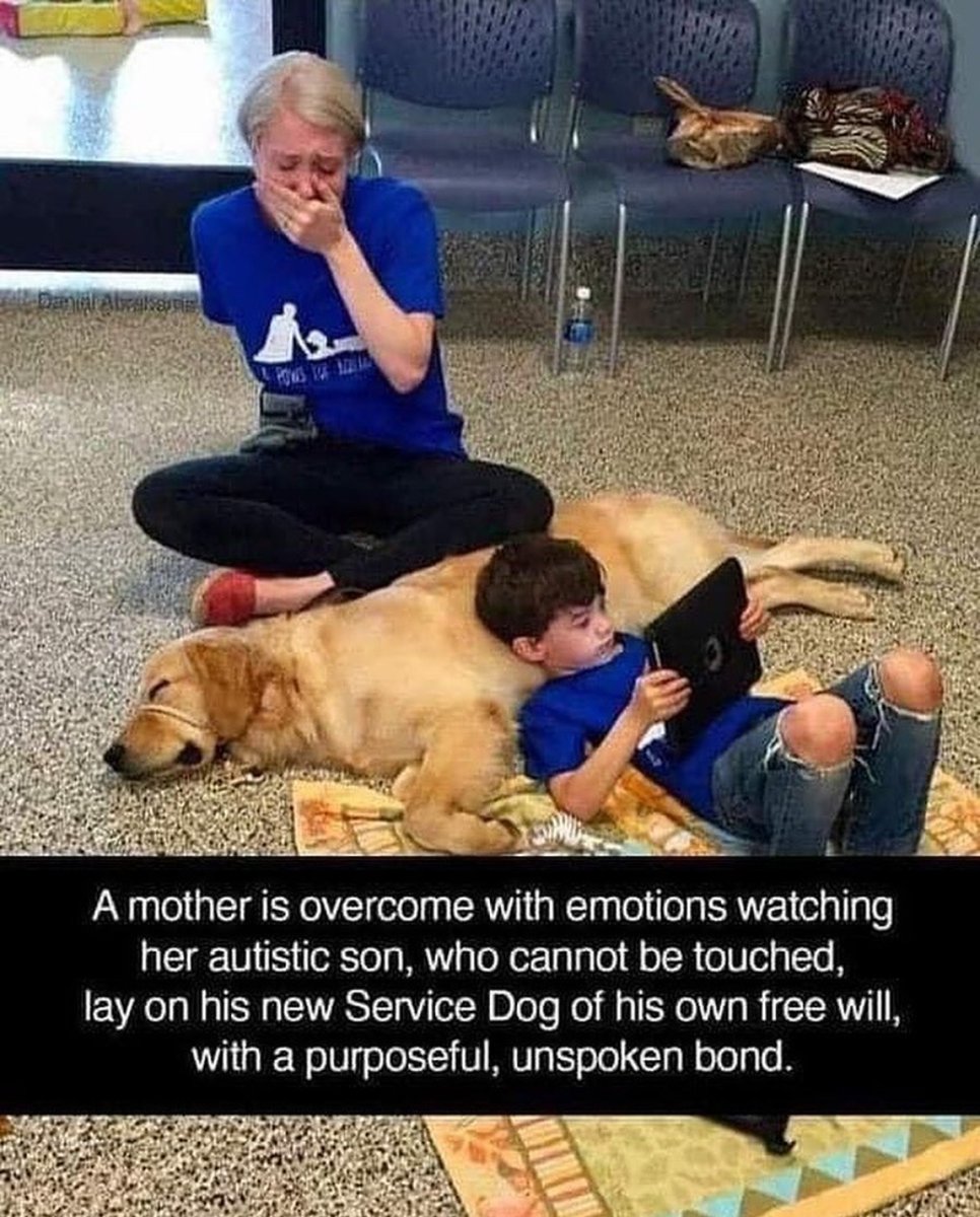 Connection b/n humans & #animals is beautiful 🥰 An #autistic child & his service dog bonding, is heartwarming. #autism #ASD #dog #servicedog #Parents #kids #animalslover