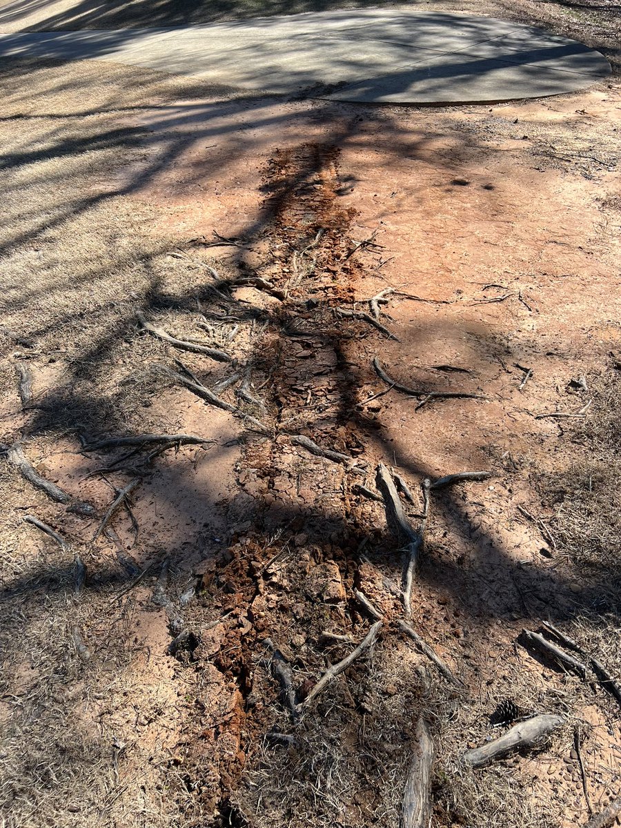 turfservpro's tweet photo. Gone for good! #rootpruner #turf https://t.co/FpYm6SKbqV
