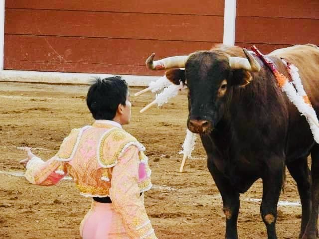 #CorridaDeCarnaval 10/02/24
#PlazaDeToros #JorgeAguilar #ElRanchero🎊🐂🏟

#Tlaxcala #CapitalOrigenDeMéxico🌱✨🇲🇽
#tenemosTRADICIONES🐂

📸Luisa Castilla
👩‍💻Tendido 8

#Olé #CapitalTlaxcala🎒🗺🧳
#CiudadColonial🛎🌮🎭
#visittlaxcala #Tauromaquia #travelphotography #Tlaxcala_photos
