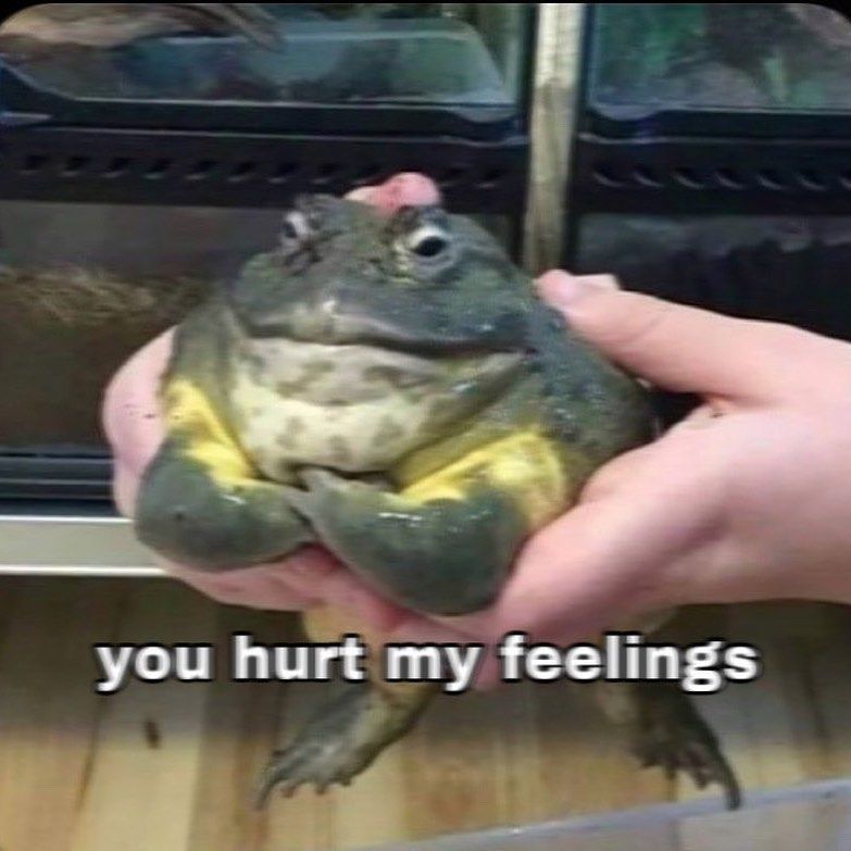 therunswickler's tweet photo. @jijipuff_ me when people hurt my feelings https://t.co/RTjfTbTIv5