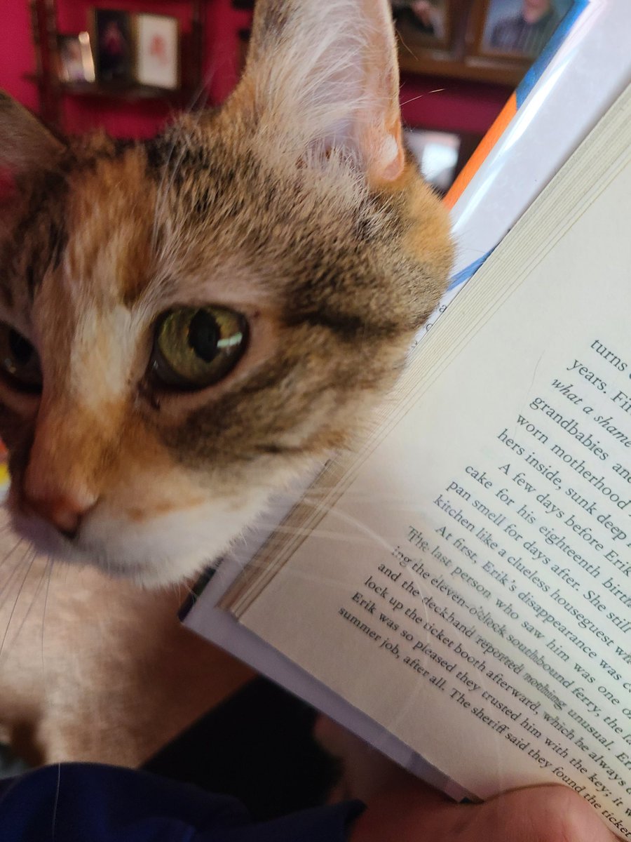 RoguesHouse's tweet photo. Are we reading? Huh? Are we are we?!? https://t.co/C73bF3qRIh