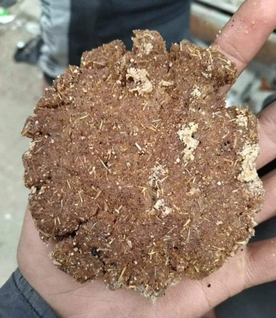 More than half million Palestinians are starving north of Gaza. No basic needs especially flour. 1 kg of flour is for 100 NIS (27USD). They eat wild herbs and even use animals feed to make bread. The Israeli forces prevent access of human aid to the north. Pic, a loaf of “bread”