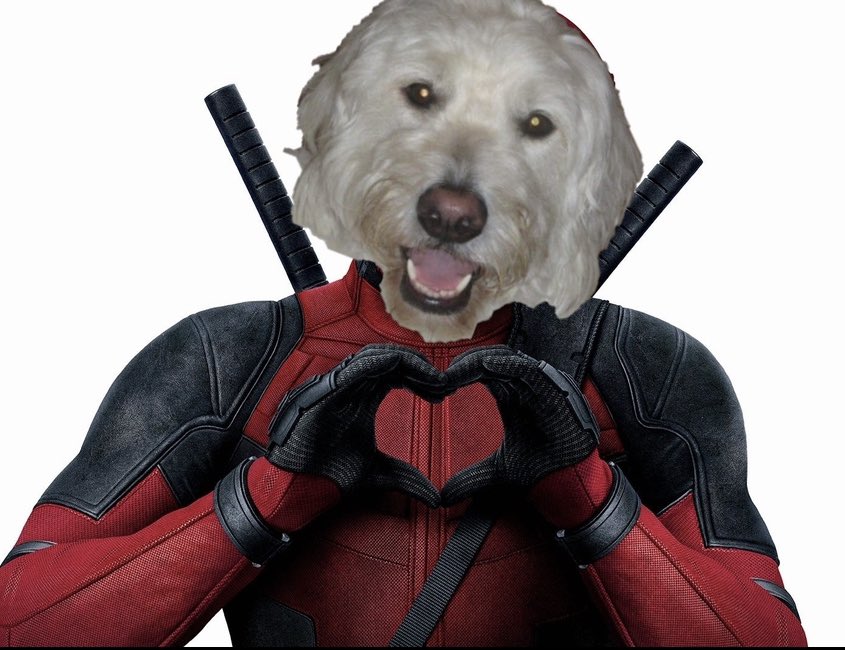 MarmosDad (Matt) tweet media