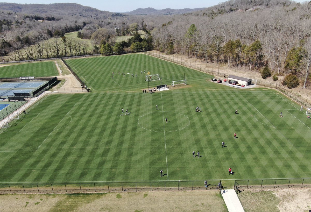 Adam Portenier tweet media