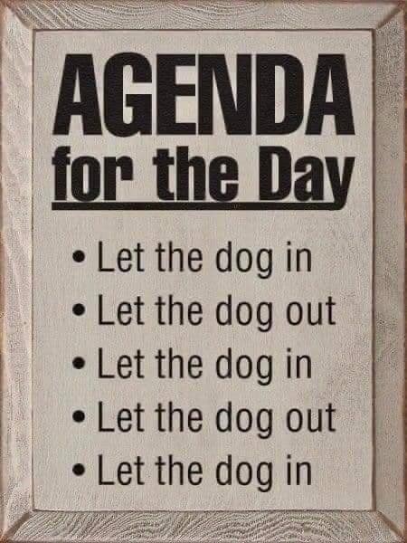 CallAprilCooke's tweet image. April  Cooke, REALTOR &amp;amp; Broker Associate, lic:01025678 - 916.769.3694
#realestatedreaming | eXp Realty