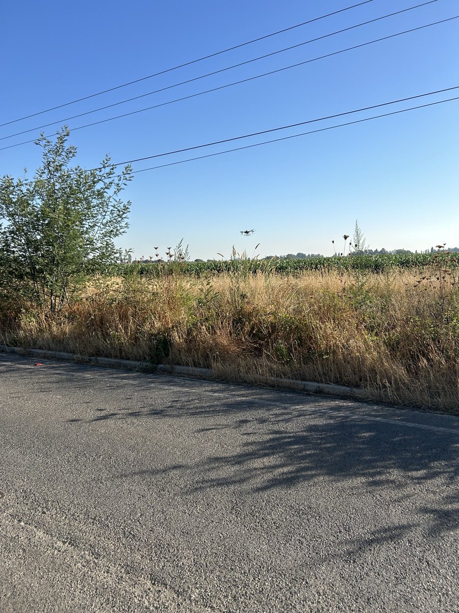 Rick Rutherford tweet media