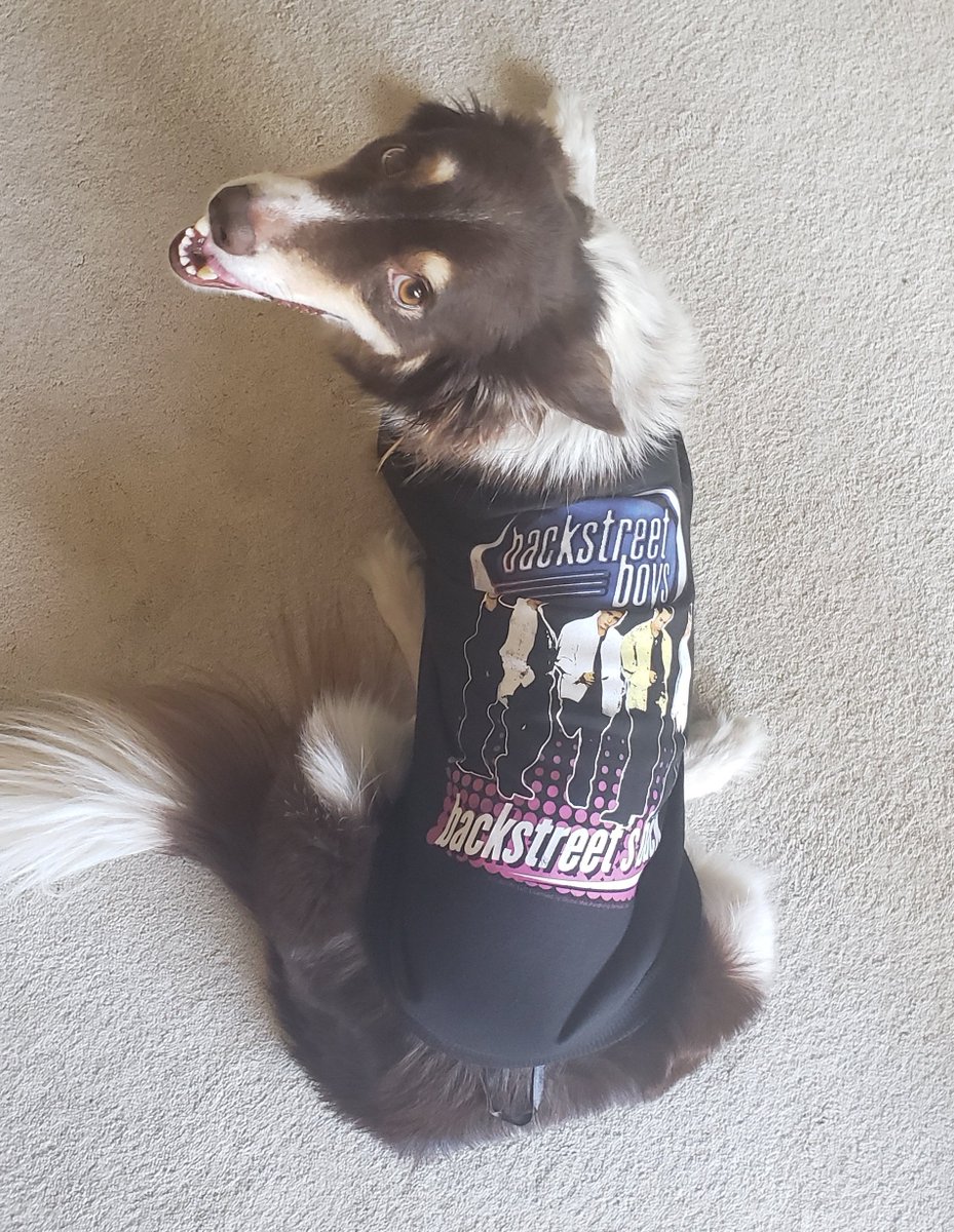 AliOfSunshine's tweet photo. Lily is a new #backstreetboys Fan! @backstreetboys https://t.co/V3KufJl2vm