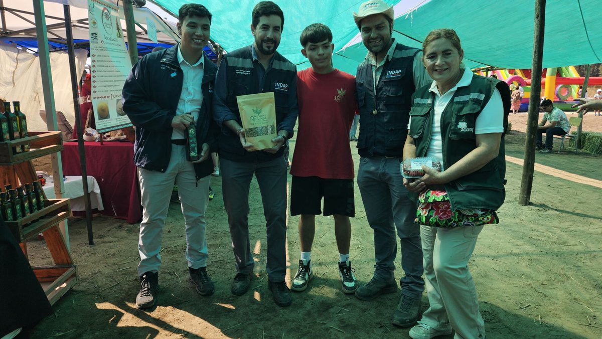 Delegación Presidencial Provincial de Petorca (@dpppetorca) on Twitter photo 🌱Este fin de semana participamos en la actividad de trilla de la Quinoa👩🌾👨🌾, junto al Director Nacional de <a href="/INDAP_Chile/">INDAP_Chile</a> <a href="/rojassantiagro/">Santiago Rojas Alessandri</a> y la comunidad en Las Salinas de Pullally, #Papudo. <a href="/luis_soto_perez/">Luis Soto Pérez</a> <a href="/castillolimari/">Camilo Castillo</a> <a href="/INDAPValparaiso/">INDAP Valparaíso</a> 🌱Este fin de semana participamos en la actividad de trilla de la Quinoa👩🌾👨🌾, junto al Director Nacional de <a href="/INDAP_Chile/">INDAP_Chile</a> <a href="/rojassantiagro/">Santiago Rojas Alessandri</a> y la comunidad en Las Salinas de Pullally, #Papudo. <a href="/luis_soto_perez/">Luis Soto Pérez</a> <a href="/castillolimari/">Camilo Castillo</a> <a href="/INDAPValparaiso/">INDAP Valparaíso</a>