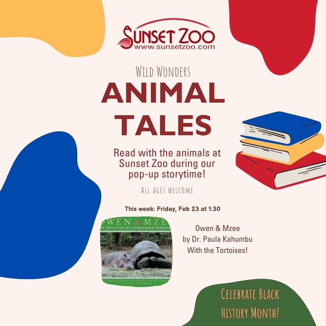 Join us this Friday, February 23rd for a Black History Month Pop-Up Storytime with our tortoises! This event starts at 1:30PM and is free with your paid admission.
#BlackHistoryMonth #Wildlifeconservation