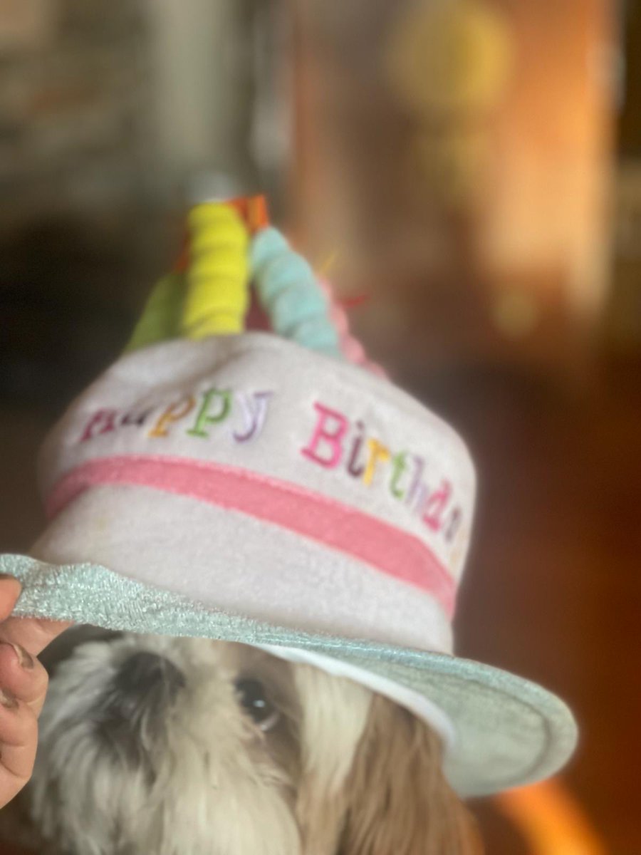 Bryan Mudryk tweet media