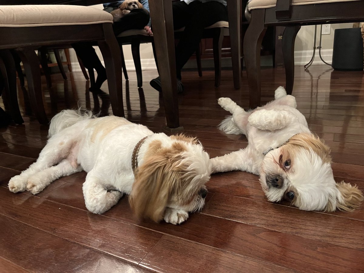 Bryan Mudryk tweet media