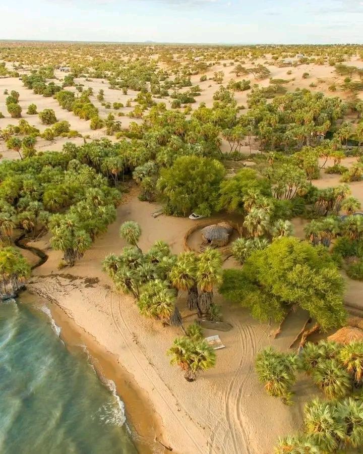 Atekercarnival tweet media