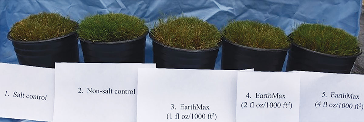 Effects of foliar application of ‘EarthMax’ on leaf color of creeping bentgrass under salt stress. > Research update from Virginia Tech in @VaTurfCouncil magazine > theturfzone.com/vtc/?ascat=8&s…