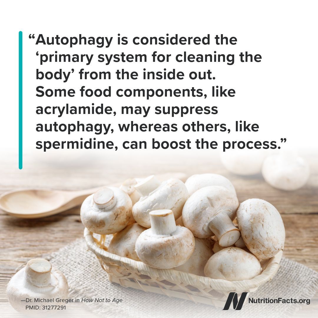 nutrition_facts's tweet image. Any food components that activate autophagy? Spermidine, the “longevity elixir.” Our body can make it from scratch, but we can also boost levels by eating spermidine-rich foods. bit.ly/3uCrYtK