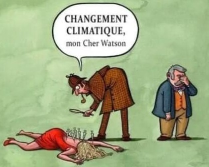 NICOLAS. D tweet media