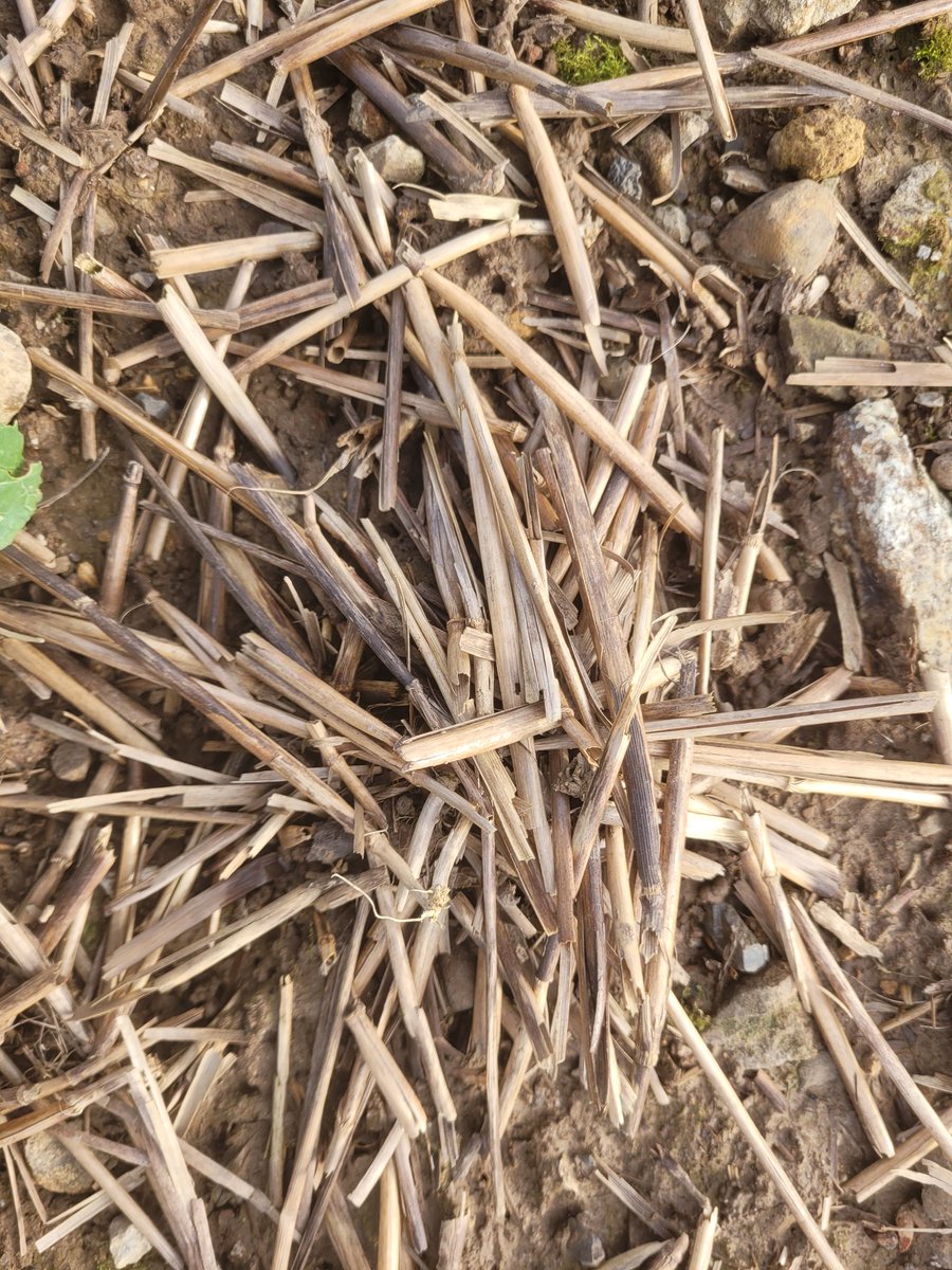 Andrew Gardiner tweet media