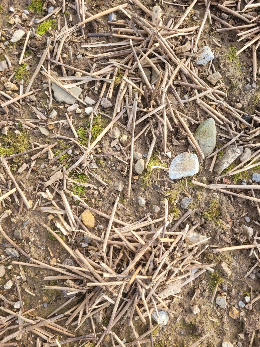 Andrew Gardiner tweet media