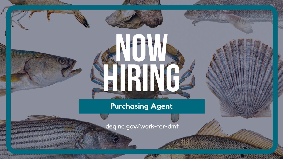 The Division is seeking a Purchasing Agent in Carteret County. Applications close 2/23/2024 5:00 PM. Learn more and apply: bit.ly/49Diq0P #work4nc #ncjobs #ncworks