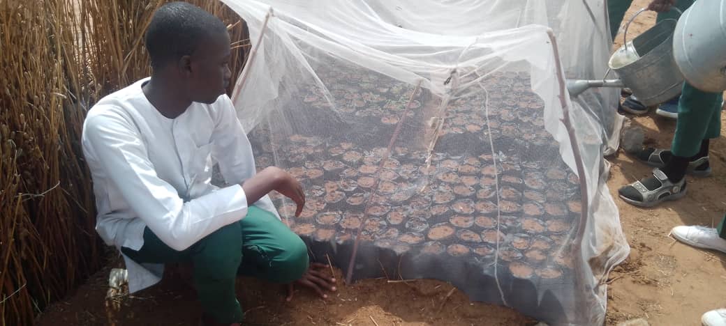 Our setup for 800 Seedlings begin to come into fruitation as 55% of our Moringa seed germinate while the seeds of 4 Other different seedlings are germinating gradually.Moringa is known for its Nutritional value, Medicinalproperties,Rapidgrowth, Adaptability n Resistance to drough