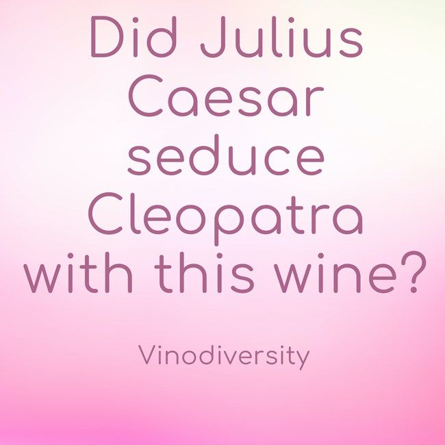 Darby Higgs tweet media