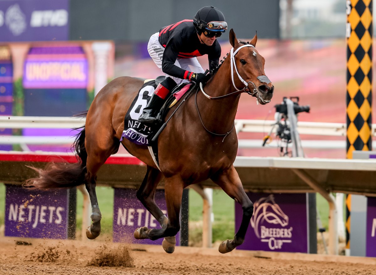 Echo Zulu will be missed by many. 💜 Our deepest condolences to all of her connections and all who loved her. 

📸 <a href="/EclipseSports/">Eclipse Sportswire</a>
