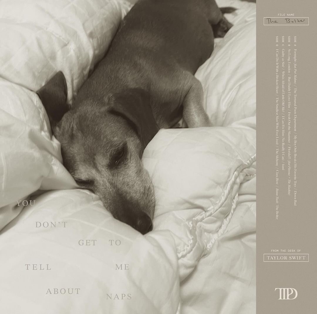 Kathleen Young Seattle 7/22, 7/23π¬π§ Wembley 6/22 (@kath_hawk) on Twitter photo You
Donβt
Get To
Tell Me
About
Naps
Bolt is so excited about a song named after him π«Ά#TheBolter
Thanks to the beautiful <a href="/art_a_kin/">aytakin π€</a> for these editsπ©Ά
<a href="/taylornation13/">Taylor Nation</a> <a href="/taylorswift13/">Taylor Swift</a>
#TSTTPD You
Donβt
Get To
Tell Me
About
Naps
Bolt is so excited about a song named after him π«Ά#TheBolter
Thanks to the beautiful <a href="/art_a_kin/">aytakin π€</a> for these editsπ©Ά
<a href="/taylornation13/">Taylor Nation</a> <a href="/taylorswift13/">Taylor Swift</a>
#TSTTPD