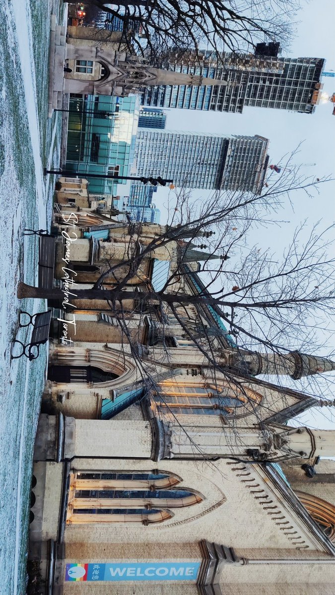 whiteplasticbag's tweet photo. Monday #Toronto https://t.co/orxJqKNhrc