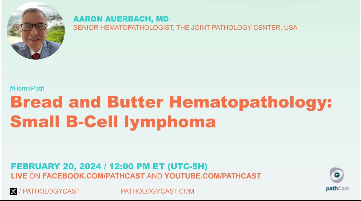 I’m giving this podcast tomorrow on small B cell lymphomas on Pathcast. Listen if you are interested!
.