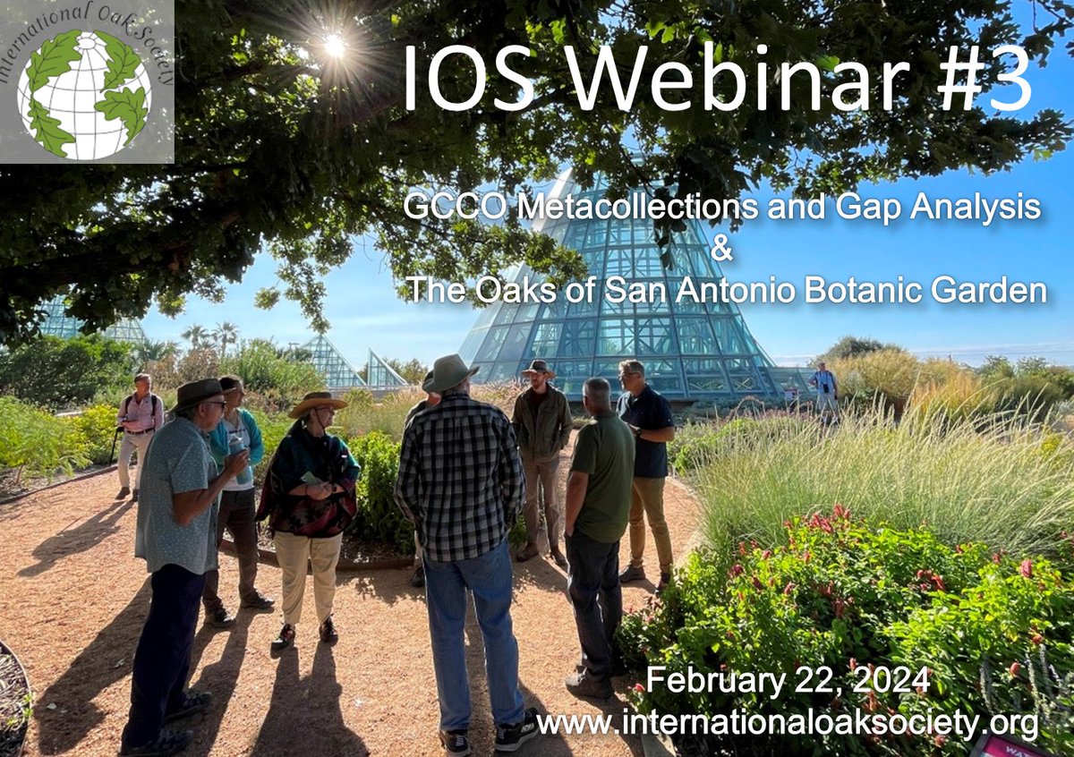 Don't miss the next IOS Webinar! The Global Conservation Consortium for Oak team will present on Metacollections &amp; Gap Analysis, then Michael Eason, Assoc. Dir. of Conservation at <a href="/sabotgarden/">San Antonio Botanical Garden</a>, will virtually guide us through their oak collection. More: bit.ly/IOSWebinar3
